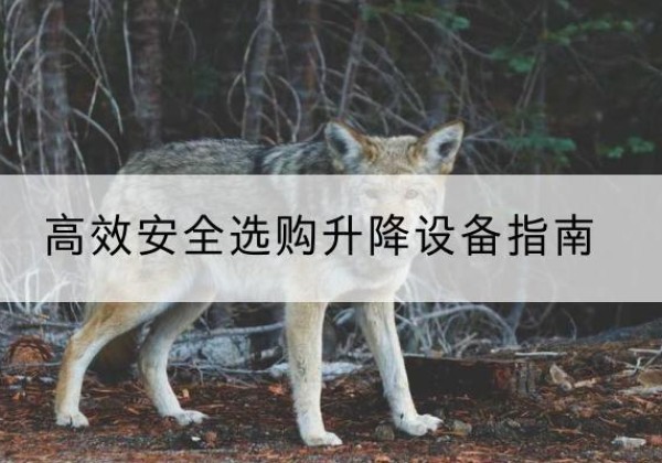 宁陵升降货梯厂家推荐-*安全选购升降设备指南