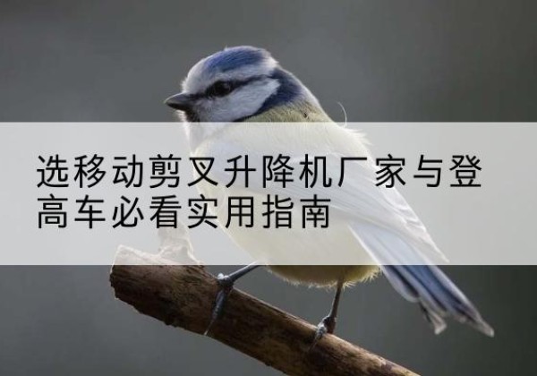 宁陵电动升降机厂家-选移动剪叉升降机厂家与登高车必看实用指南