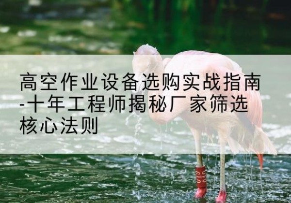 宁陵剪叉式升降机厂家-高空作业设备选购实战指南-十年工程师揭秘厂家筛选核心法则